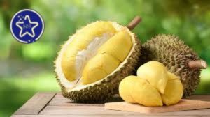 durian-in-english