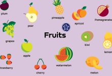 اسم-میوه-ها-به-انگلیسی