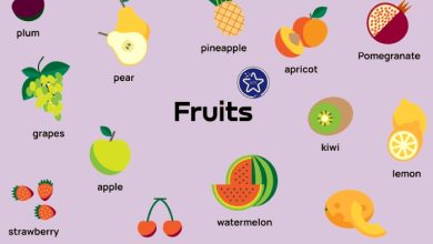 اسم-میوه-ها-به-انگلیسی