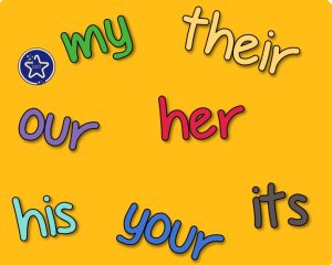 possessive adjectives in English1